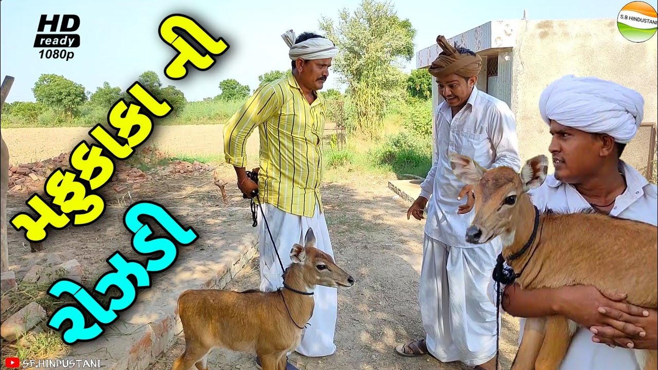 મફુકાકાની રોઝડી ફુમતાળજીને પડી ભારે//Gujarati Comedy Video//કોમેડી વિડીયો SB HINDUSTANI