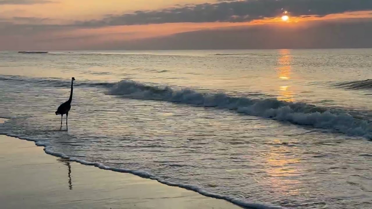 BeachWave Wellness | 3 Minutes of Calm Waves for Stress Relief