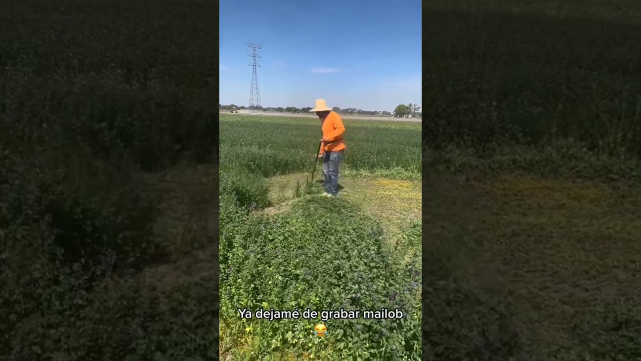 trabajando con la guada&ntilde;a