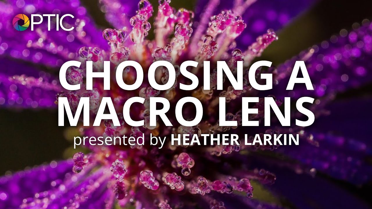 Heather Larkin: Choosing a Macro Lens | #BHOPTIC