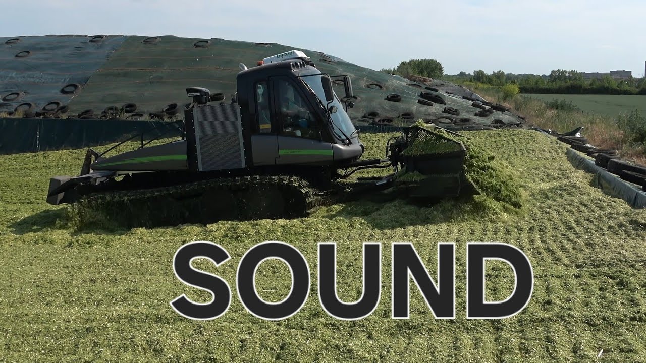 PRINOTH Leitwolf / agripower / Maisraupe beim Silo schieben / Griemsmann KG / SOUND / 4K / Teil 1