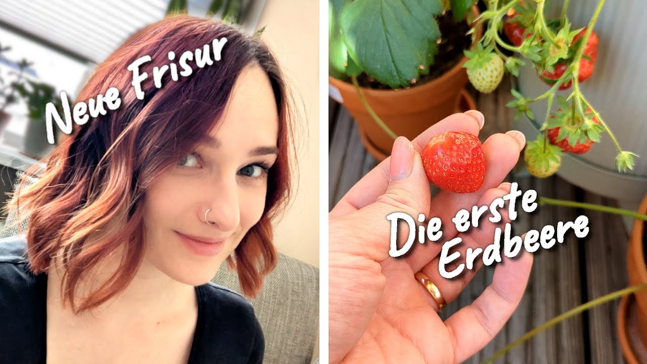 Endlich Erdbeeren, neue Frisur & Styling-Fail | Vlog 2025-06