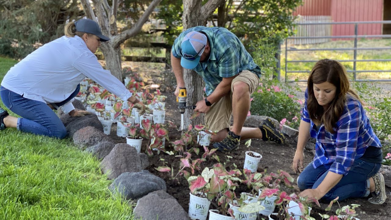 Planting Caladiums & Salvia in My Parent’s Garden! 🥰🌿💚// Garden Answer