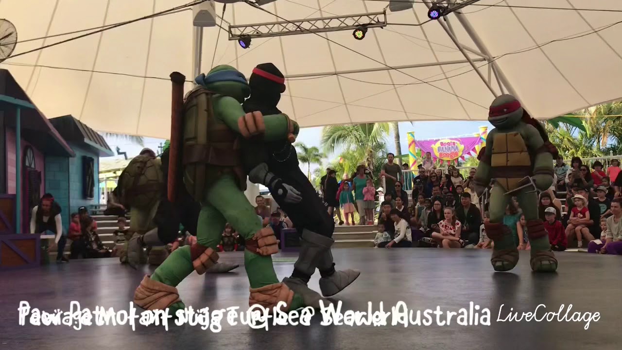 Teenage Mutant Ninja Turtle on stage @ SeaWorld
