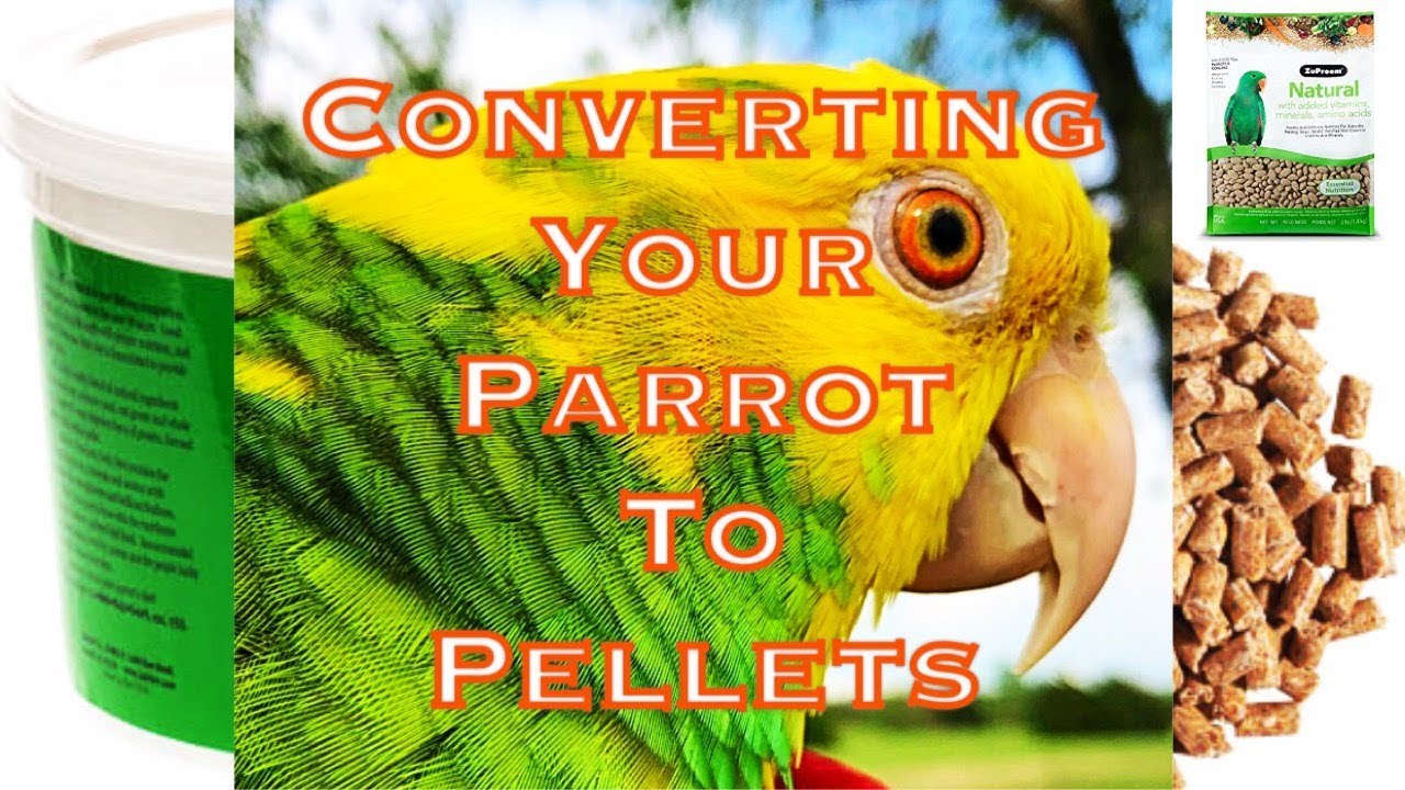 convert your bird to pellets easily
