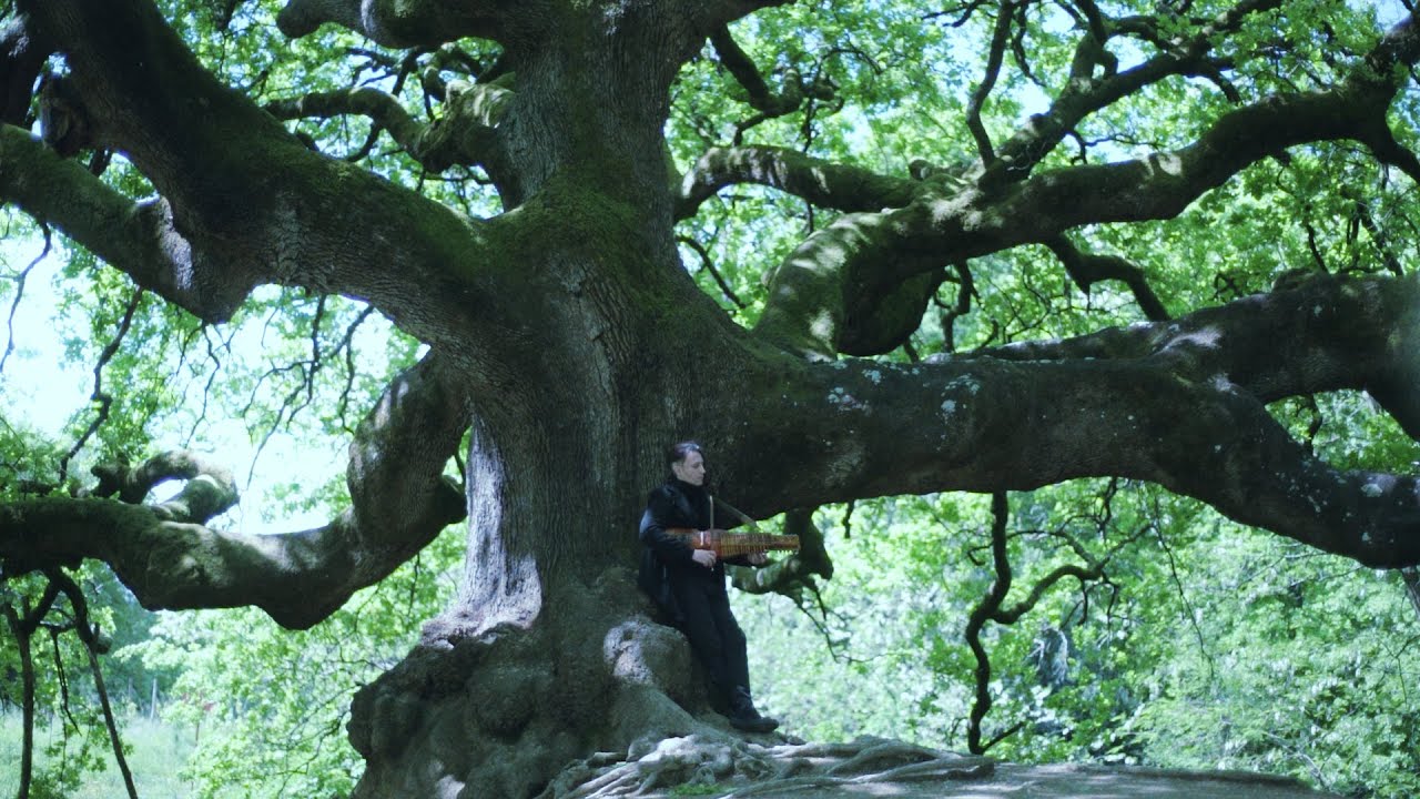 ARTHUAN REBIS - Driade (Official Video)