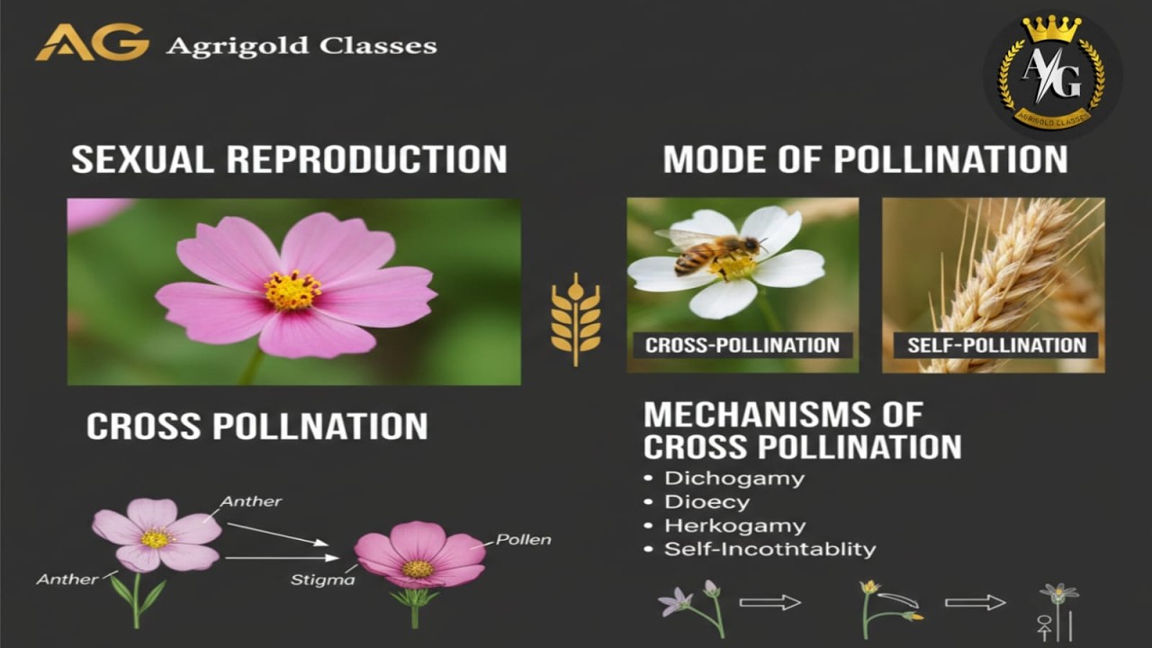 Cross Pollination in Plants – Step by Step Mechanism 🌱|Types & Mechanism|Botany Lecture for Students
