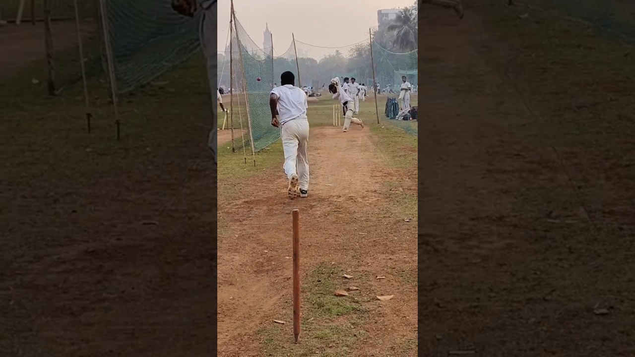 step out straight drive in cricket | how to play a straight drive #cricket #drive #straight #video