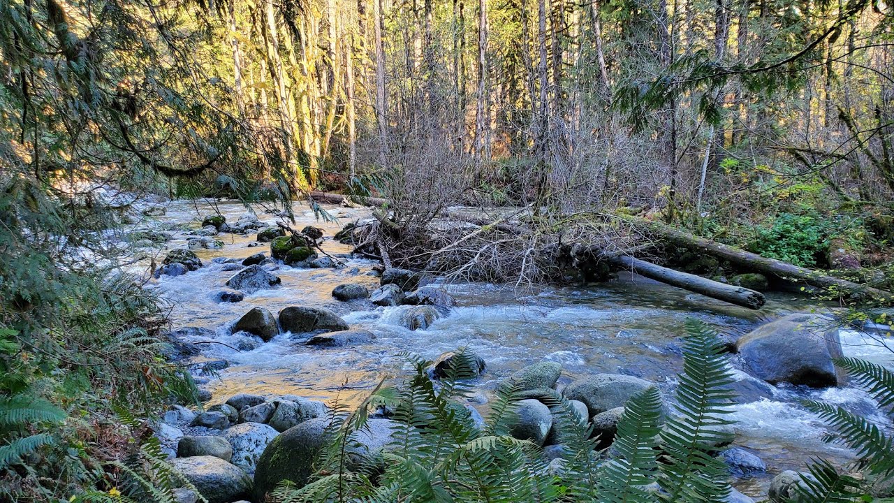 My first time at WALLACE FALLS STATE PARK | @SimpleLifeNewChapter 