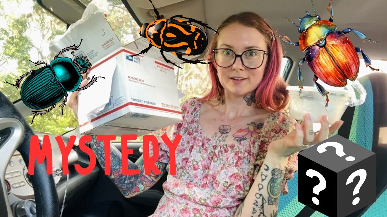 Unboxing Live Mystery Pet Beetles in my Car