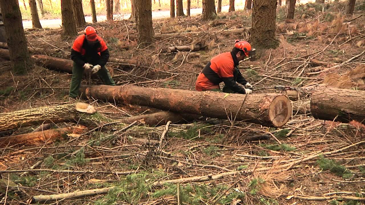 Clip 17 - RISCHI nel LAVORO con TRATTORE e VERRICELLO