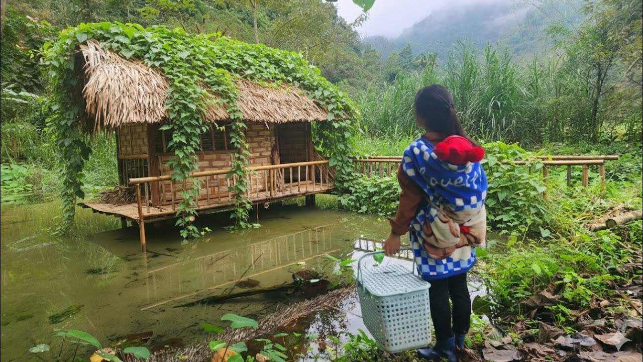 Renovating and restoring an abandoned bamboo house for use as a shelter in the forest.