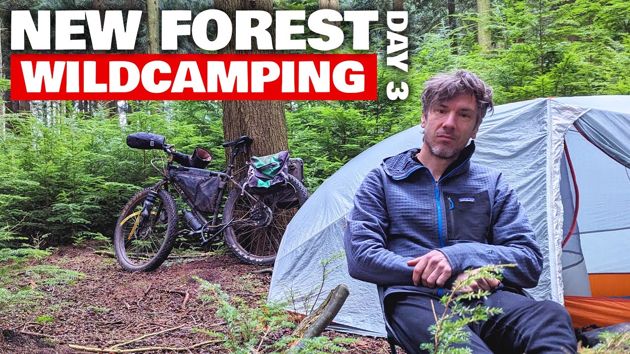 New Forest Wild Camping : Day 3