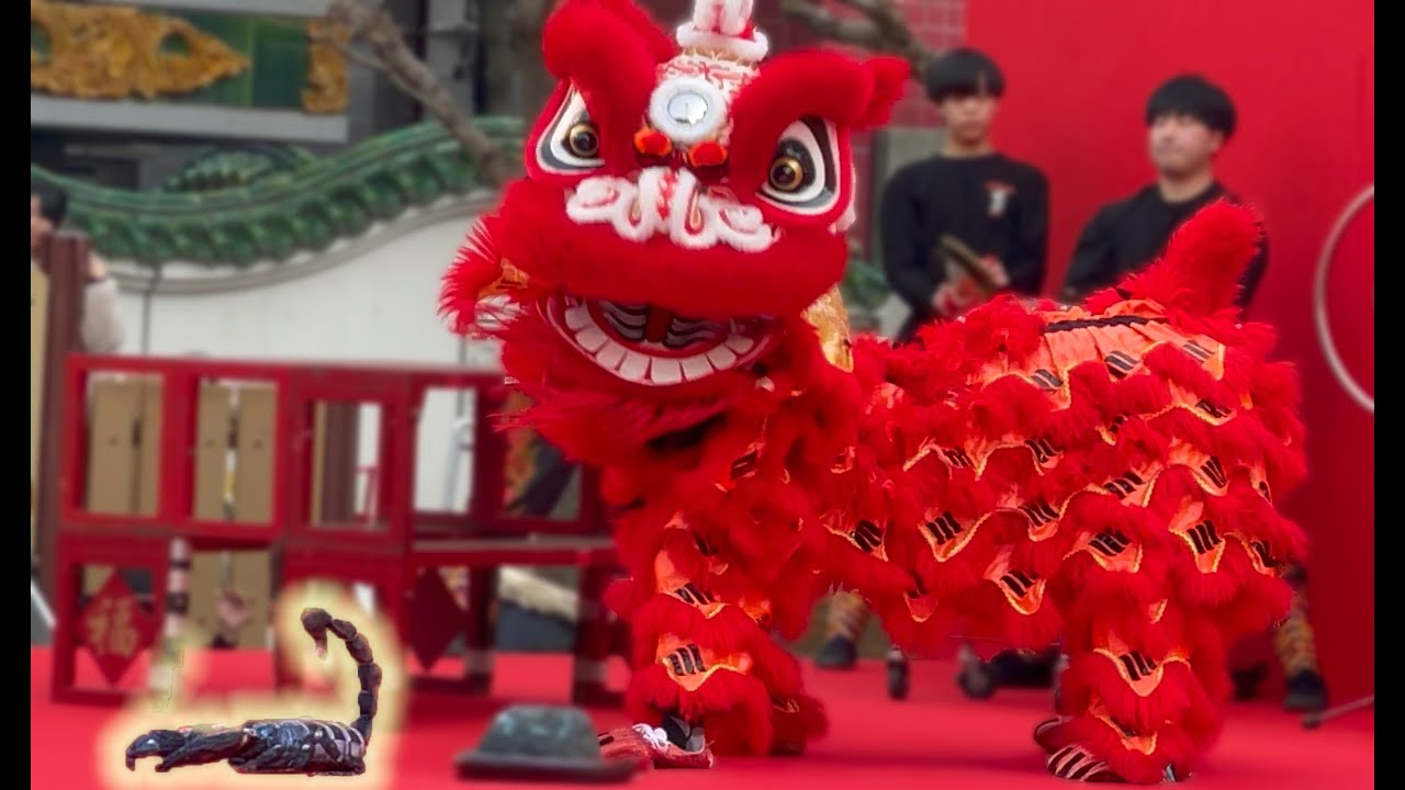中国獅子舞 春節娯楽表演 春節2025 ～山下町公園 ＠ 横浜中華街～