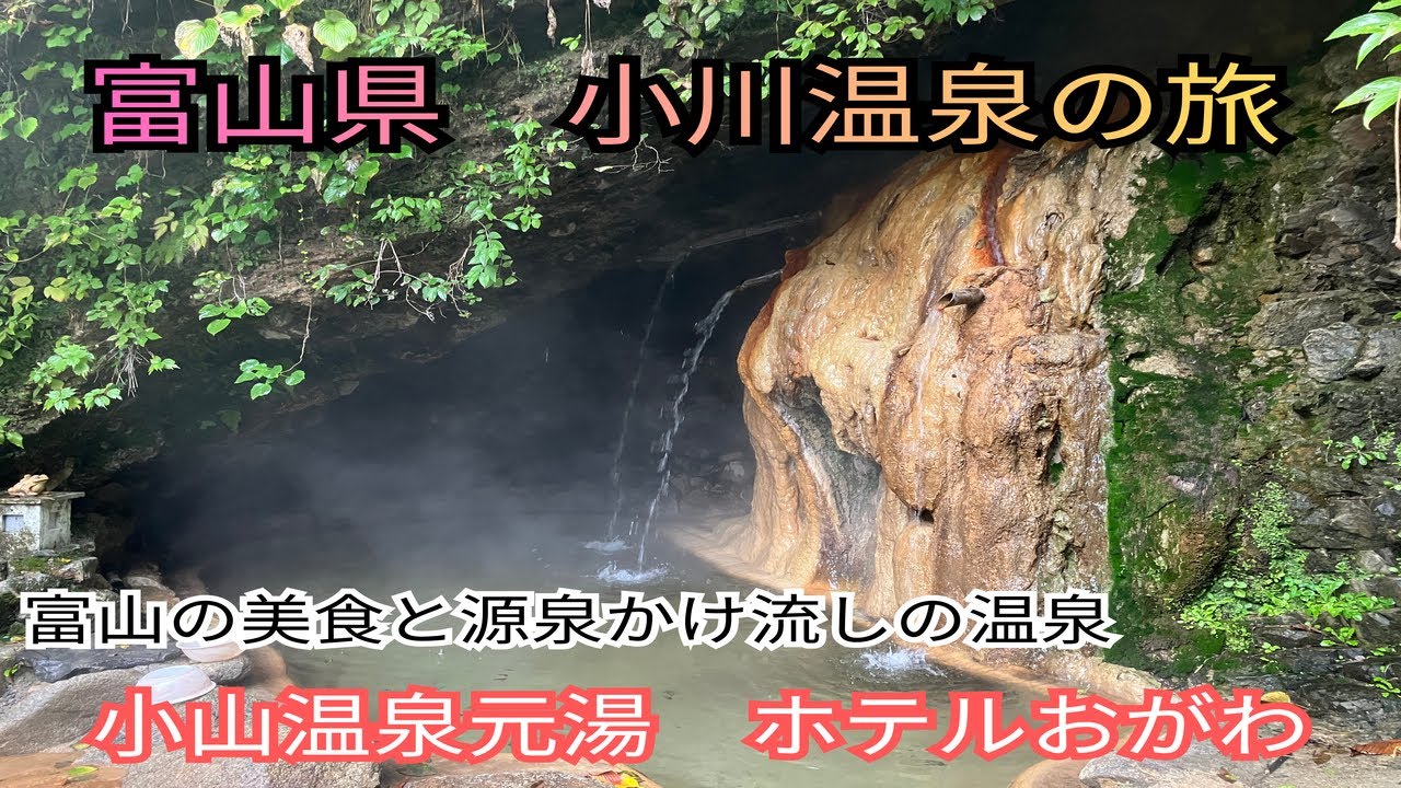 【富山温泉旅】開湯400年を誇る源泉100％のお湯と食の王国富山を堪能できる　小川温泉元湯　ホテルおがわ