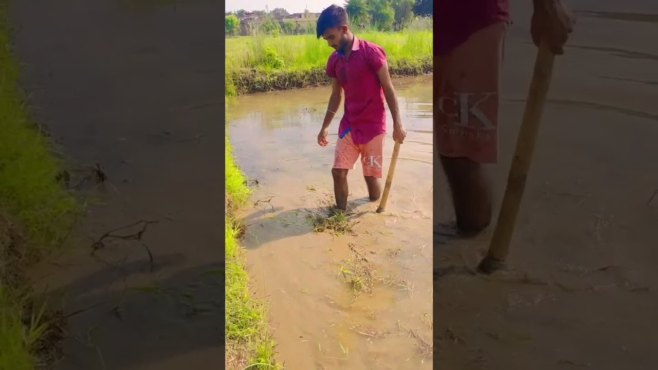 Indian Farmer's Lifestyle #shorts #farming #15thaugust #independence #farmerlife #hardwork