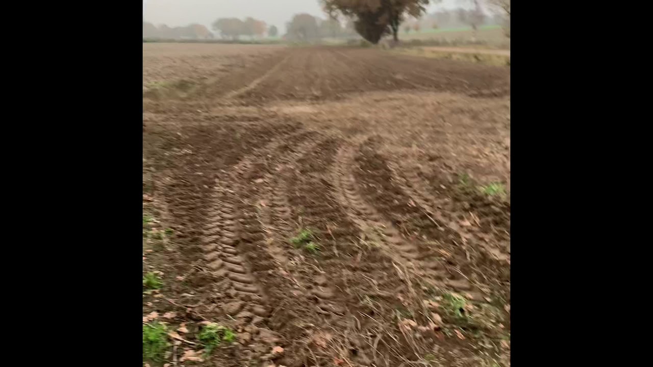 Collecting Potatoes in Germany!!