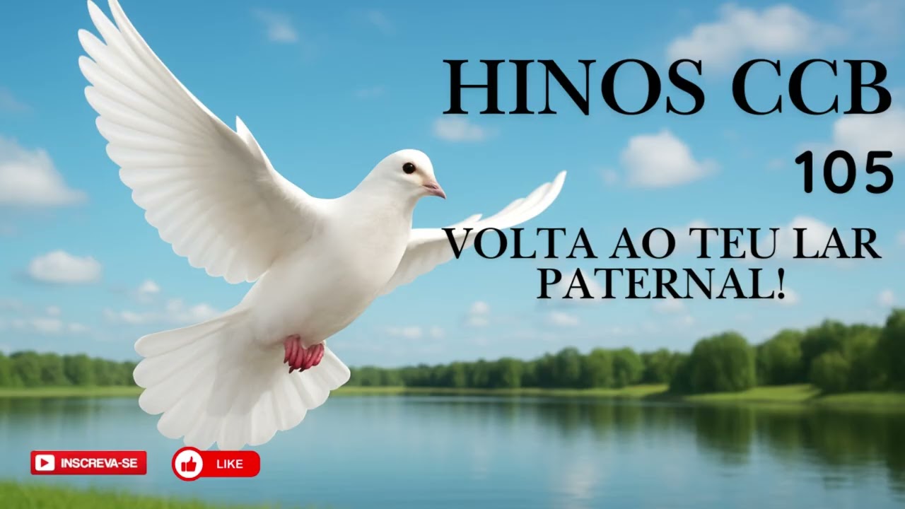 HINO CCB - 105 | VOLTA AO TEU  LAR PATERNAL