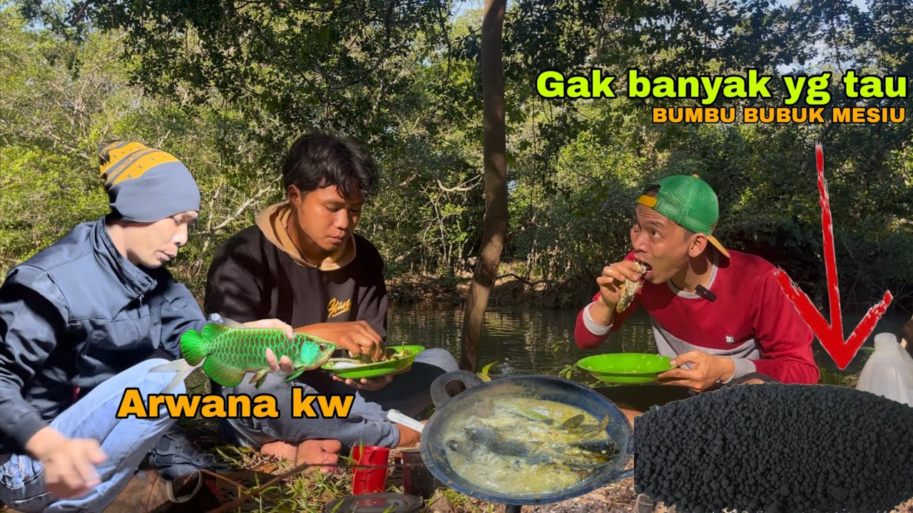 Dapat arwana Sumatra. Langsung masak bumbu mesiu⁉️MELEDAK