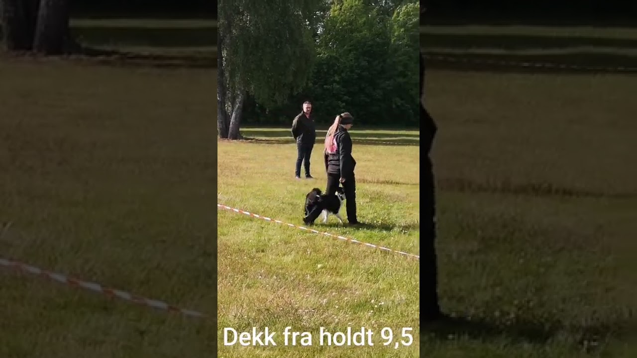 NKKs Bronsemerket, Oni 17 mnd