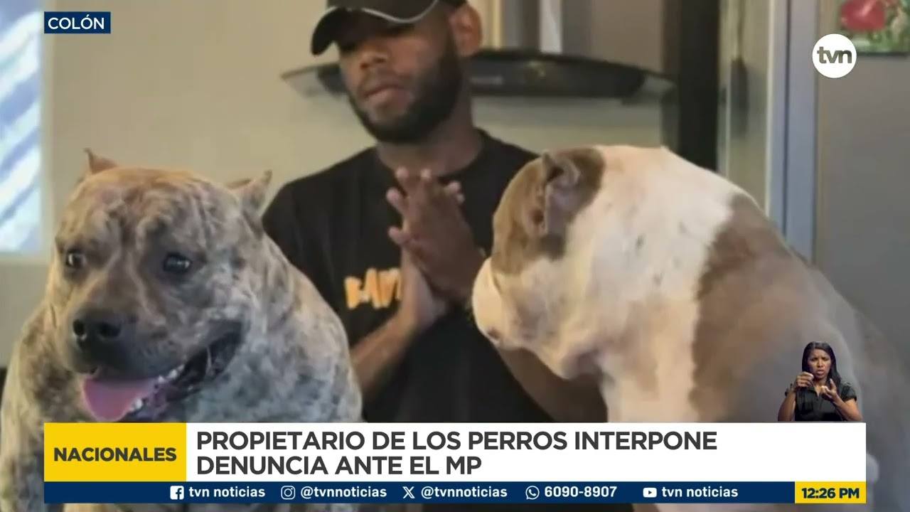 Polémica en Colón por la muerte de dos perros; Policía Nacional niega responsabilidades