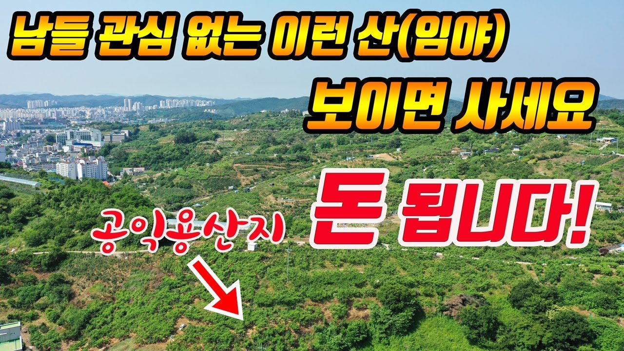(역발상) 이런 땅(임야) 보이면 무조건 사세요! 토지투자 노하우 공익용산지에 투자해서 돈벌기