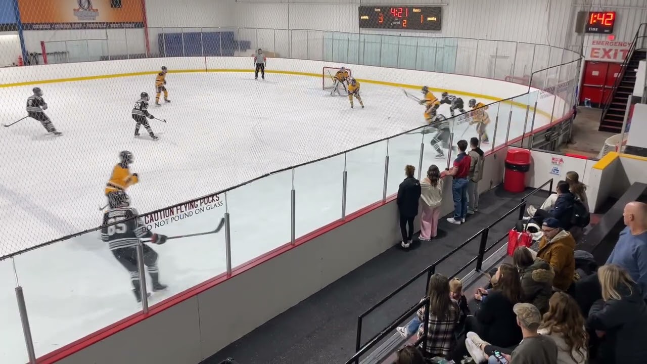1-10-26 vik @ sabres 2a