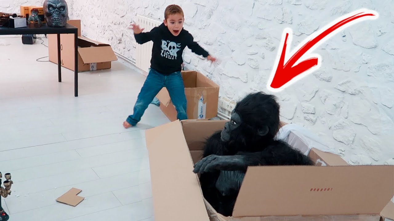 PRANK - Swan attaqué par un gorille ! 🦍😱