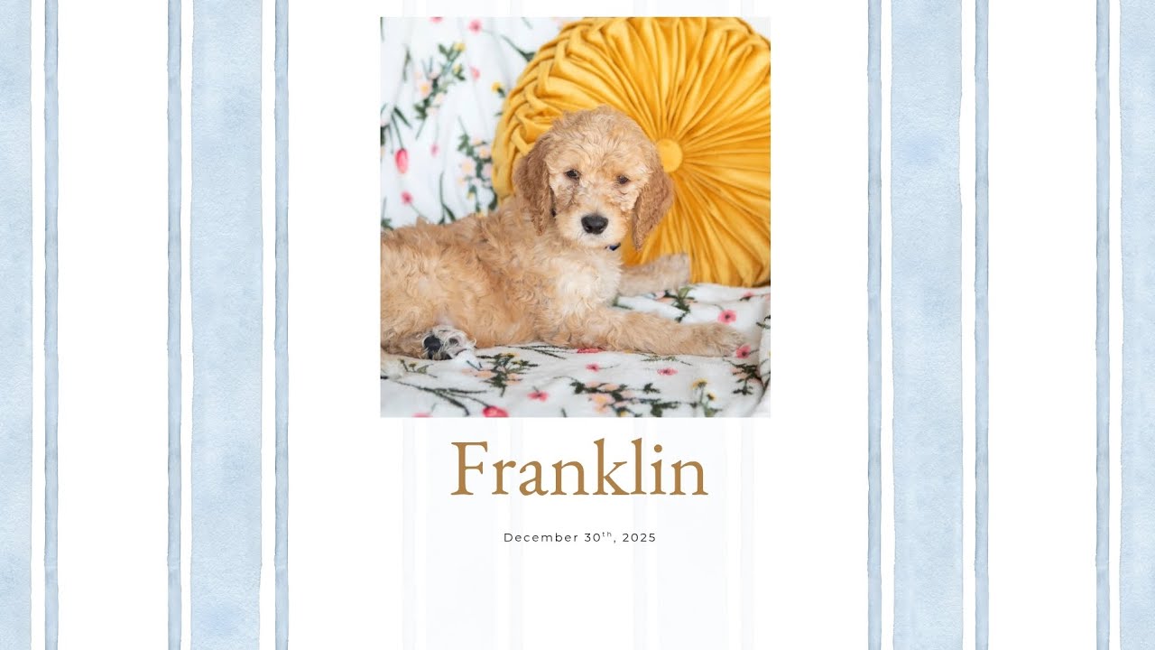 Franklin's Temperament Evaluation 