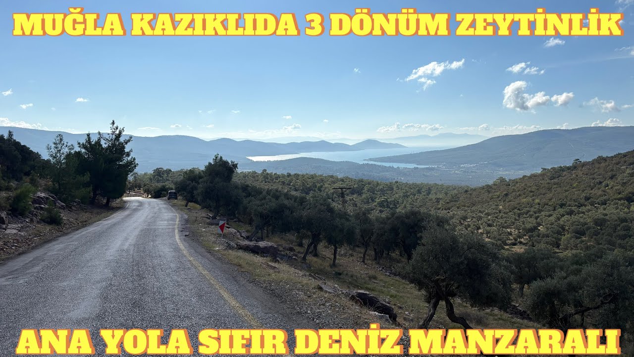 muğla milas kazıklıda yatırımlık 3 dönüm zeytinlik ana yola sıfır full deniz manzaralı#muğla #milas