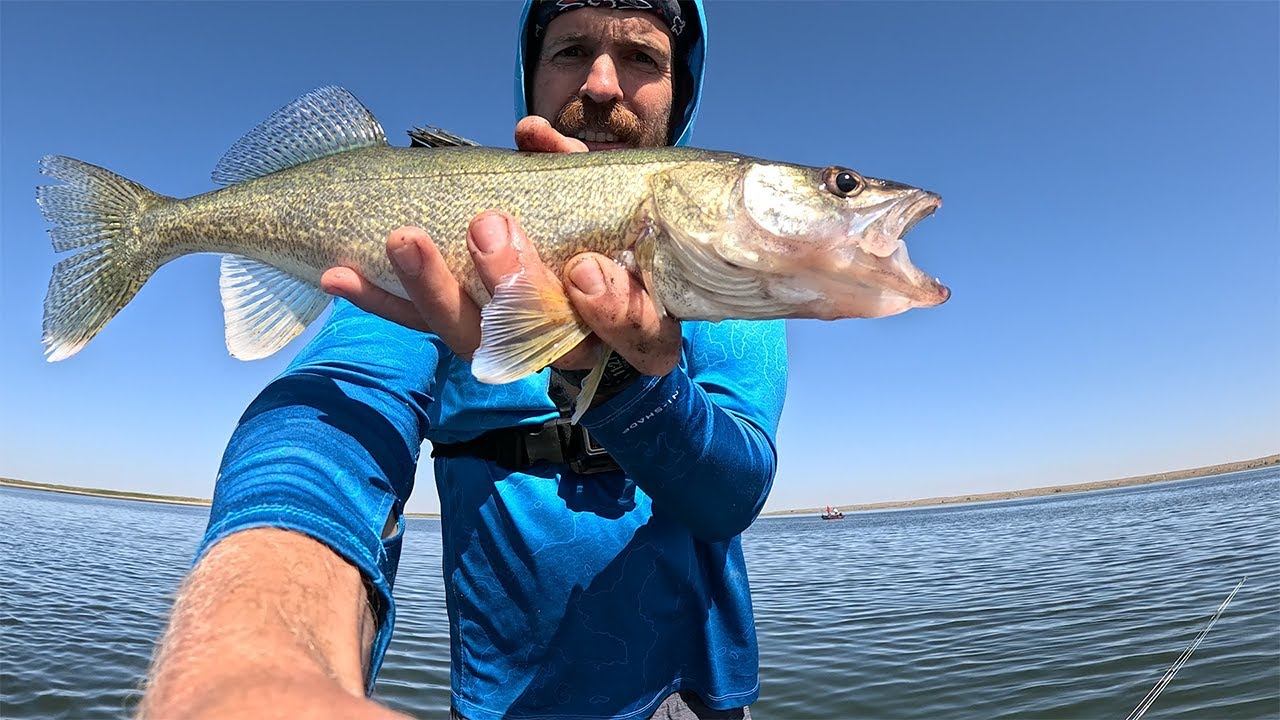 Potholes Reservoir Late Summer Walleye Fishing
