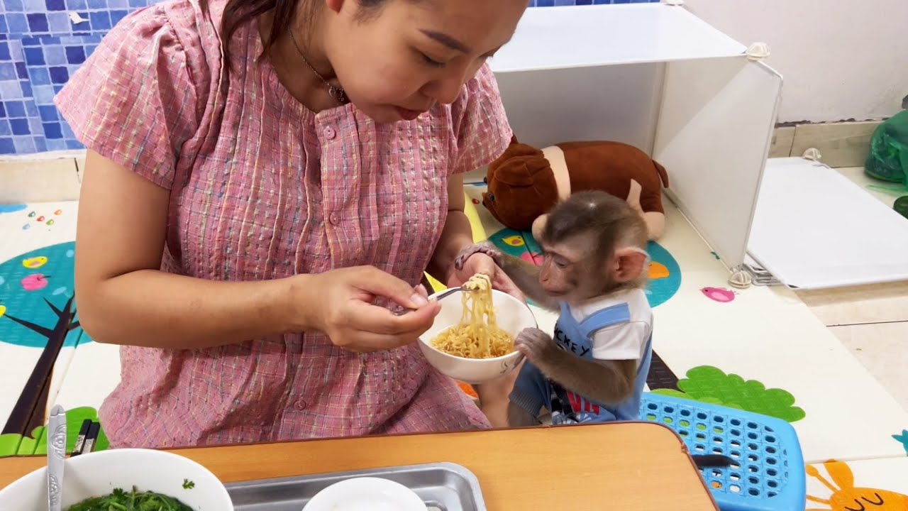 Smart Lucky finds instant noodles and asks Mom to cook but can't eat them