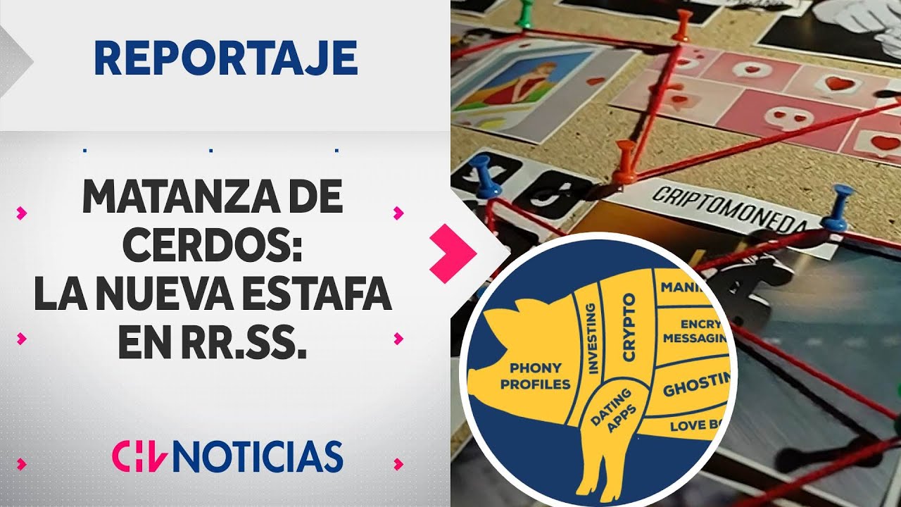 LA MATANZA DE LOS CERDOS: Nueva estafa por redes sociales que llegó a Chile | Reportajes CHV