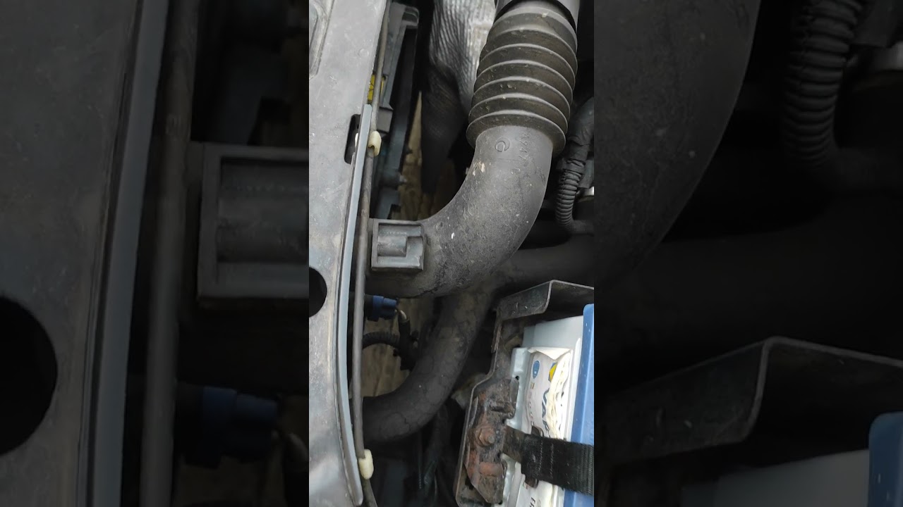Fiat 500 cuscinetto reggispinta rumore 14.04.2024