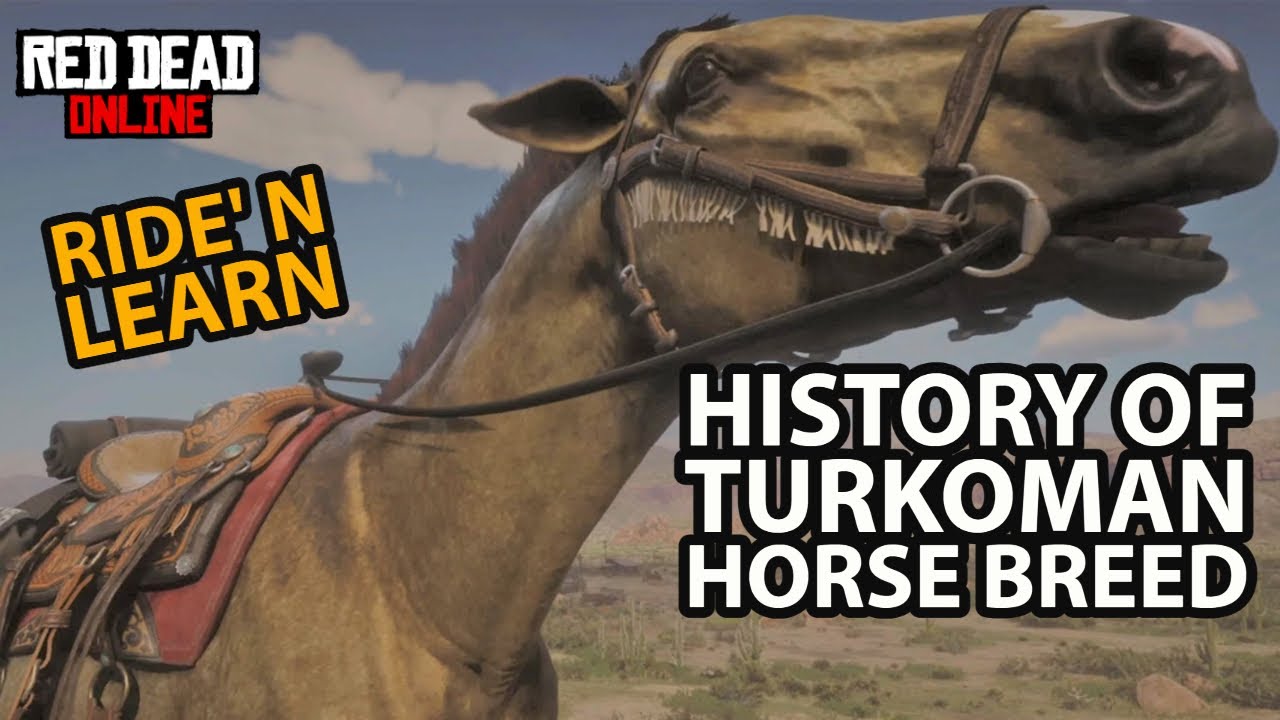 History of Turkoman Horse Breed Ride 'n Learn in Red Dead Online