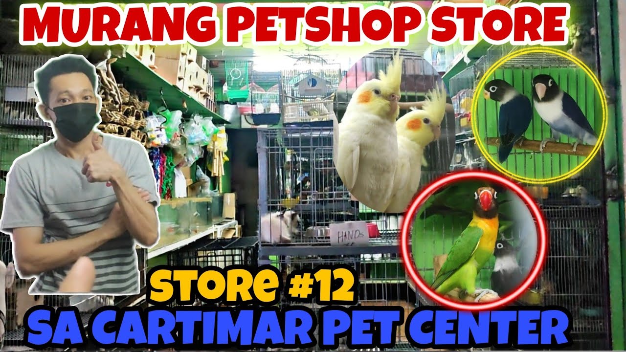 MURANG PETSHOP STORE SA CARTIMAR PET CENTER STORE NUMBER 12 