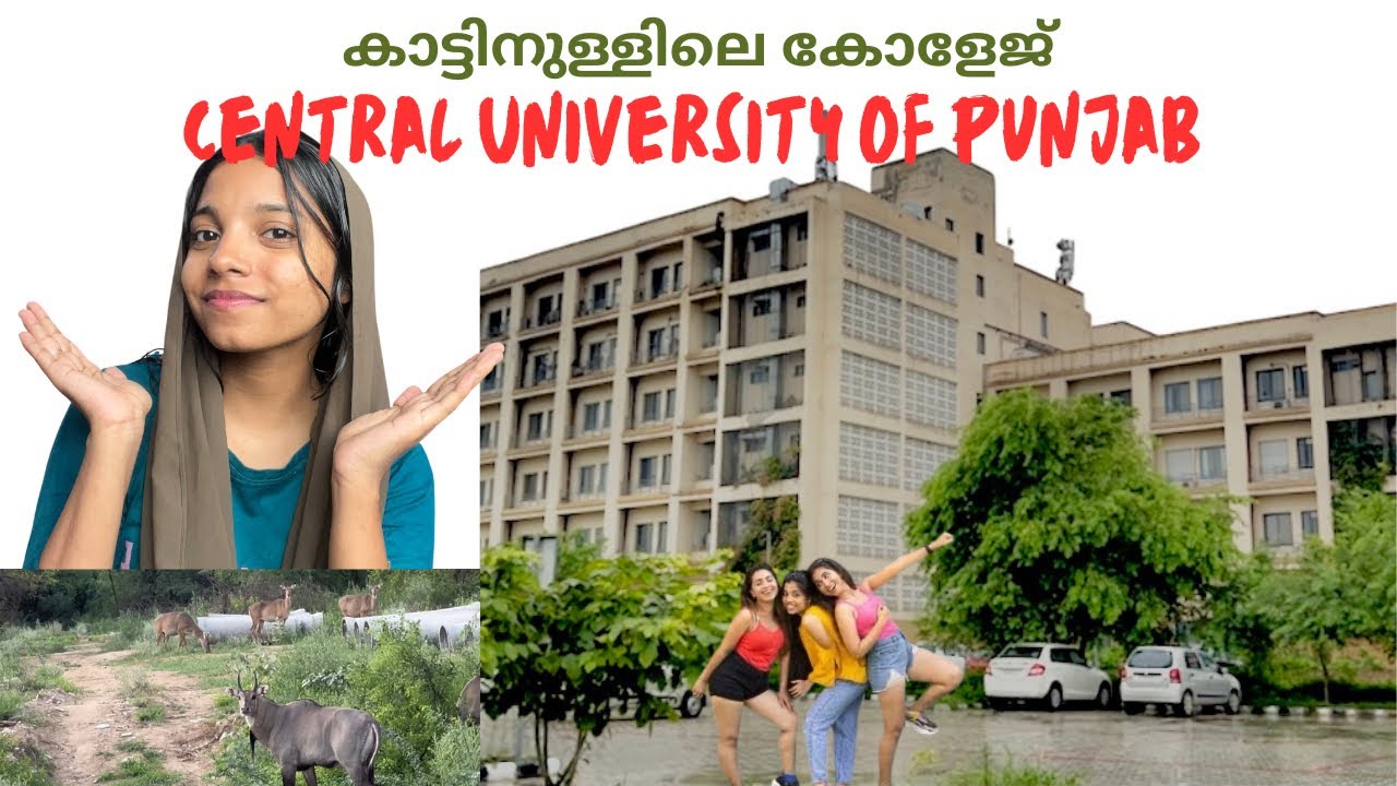 🏫സെൻട്രൽ യൂണിവേഴ്സിറ്റി പഞ്ചാബിലെ അവസ്ഥ Welcome to CUPB🎓 | Full Campus Intro| #CUPB