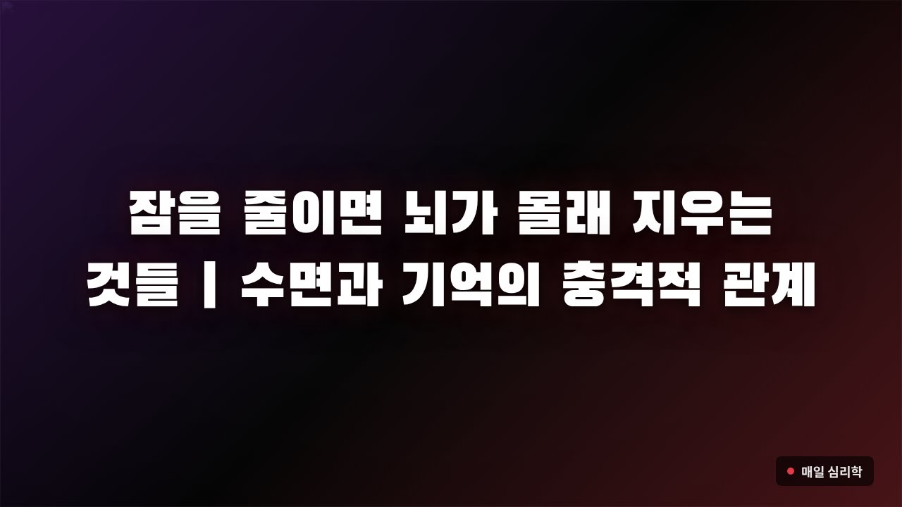 잠을 줄이면 뇌가 몰래 지우는 것들 | 수면과 기억의 충격적 관계