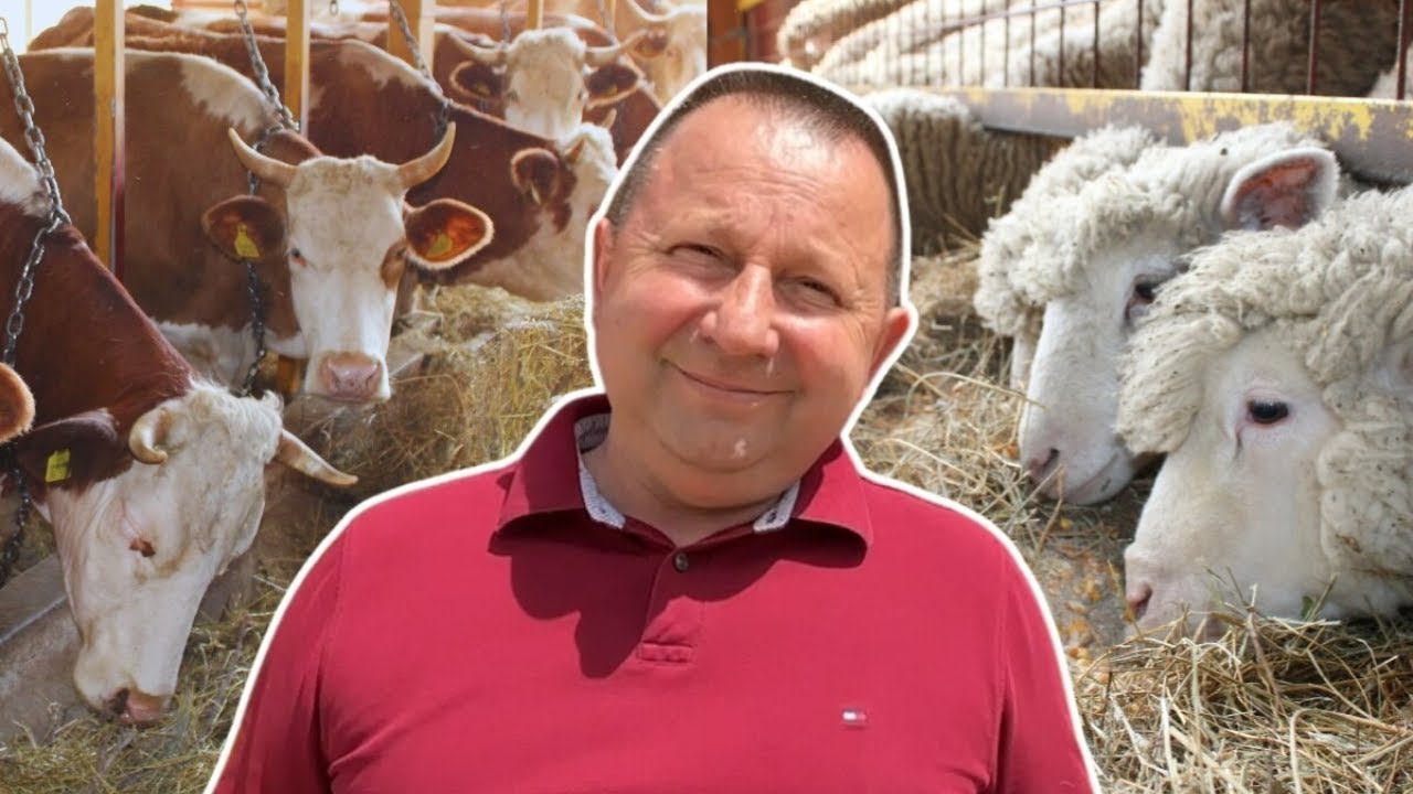 Bosanski inat Dragana Vukovića: Krenuo iz hobija, danas na farmi 1.000 grla stoke
