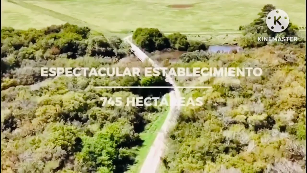 Venta Campo Rocha Uruguay 750 hectáreas Estancia Agrícola Ganadera  @Inmobiliaria Menyou en Uruguay