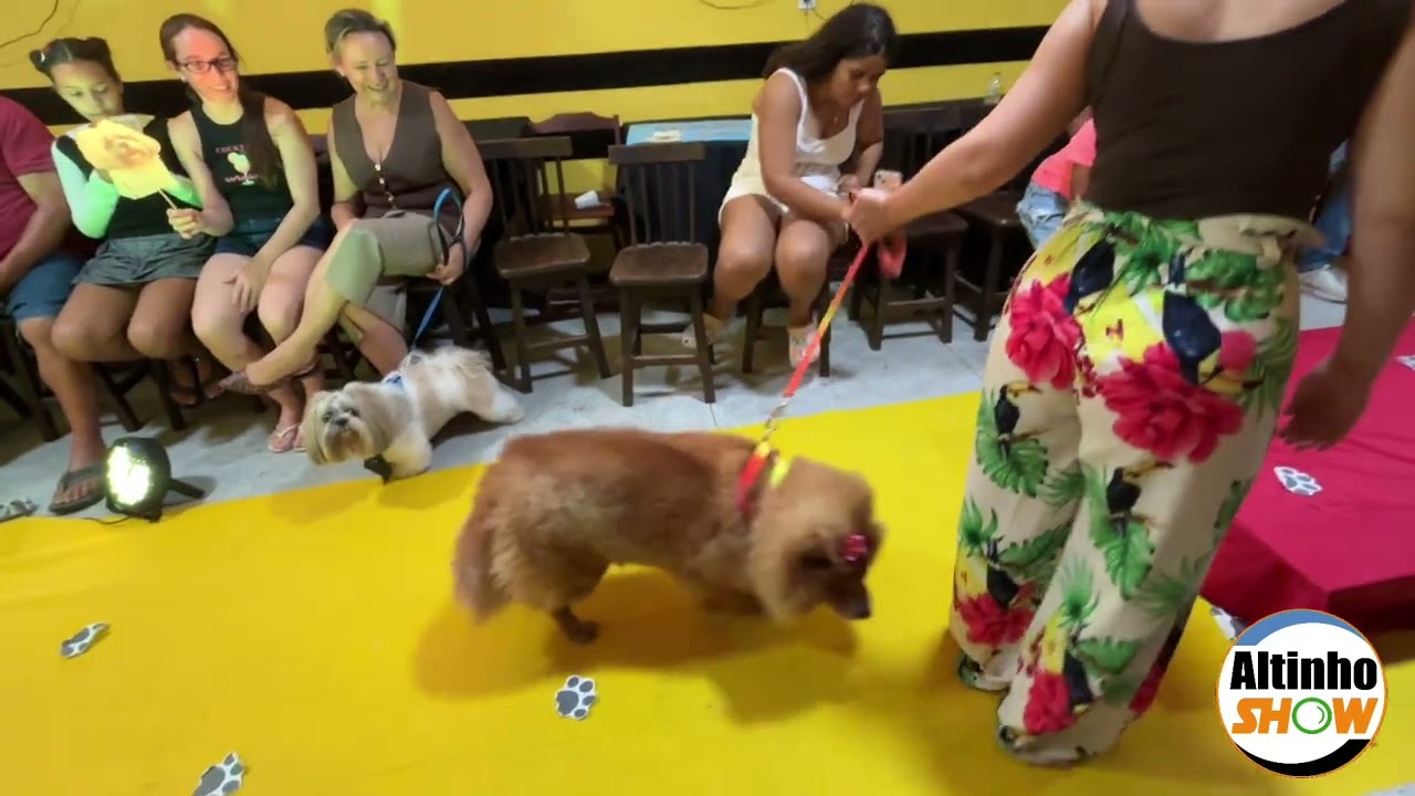 Desfile de cães em Altinho 