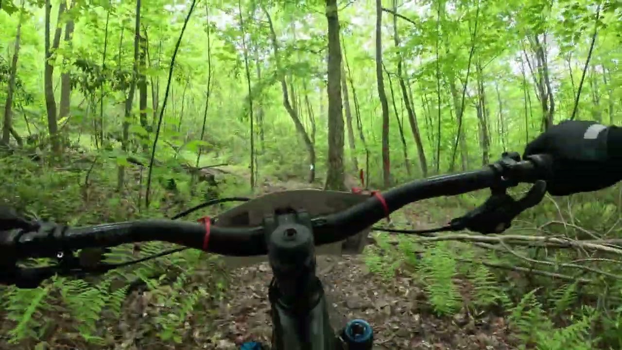 Raven Enduro 2024 Stage 2 (Green)