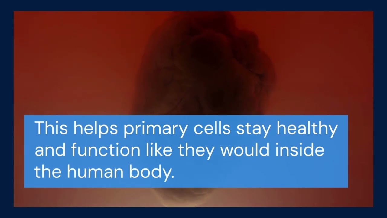 New breakthrough of Primary Cells