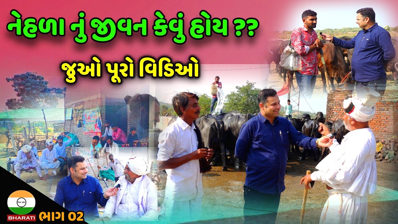 આવું હોય છે દેશી નેહળા નું દેશી જીવન ।। Gir Galdhara khodiyar Nes - Shree Lakhi Ayi maa