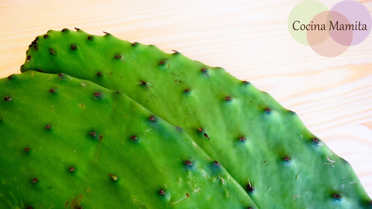 Tres Formas de Limpiar el Nopal