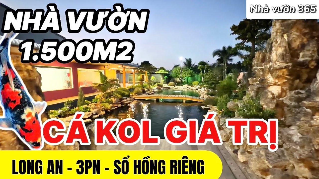 Nh&agrave; vườn Long An 1500m2 - Hồ c&aacute; kol gi&aacute; trị thật sự | tập 0740