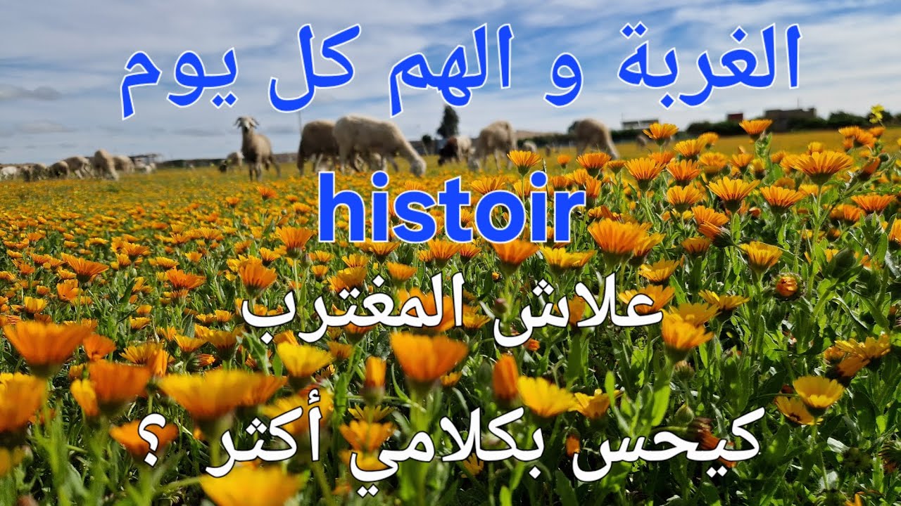 الحلقة 753.❤️🇲🇦❤️ المغترب خارج او ذاخل الوطن هو أكثر شخص يحس بكلامي و هذه هي الأسباب