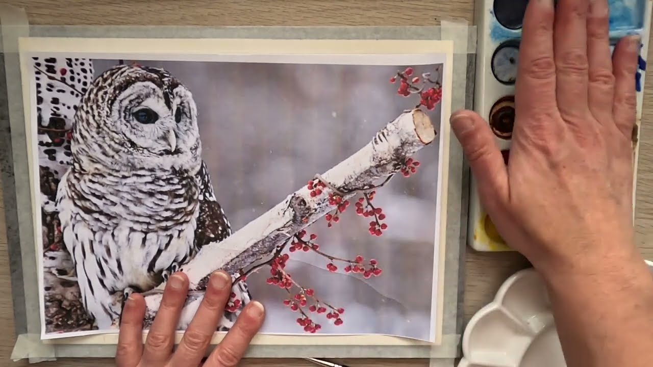 Recherche projet peindre une chouette à l'aquarelle #aquarelledébutant #watercolorpainting