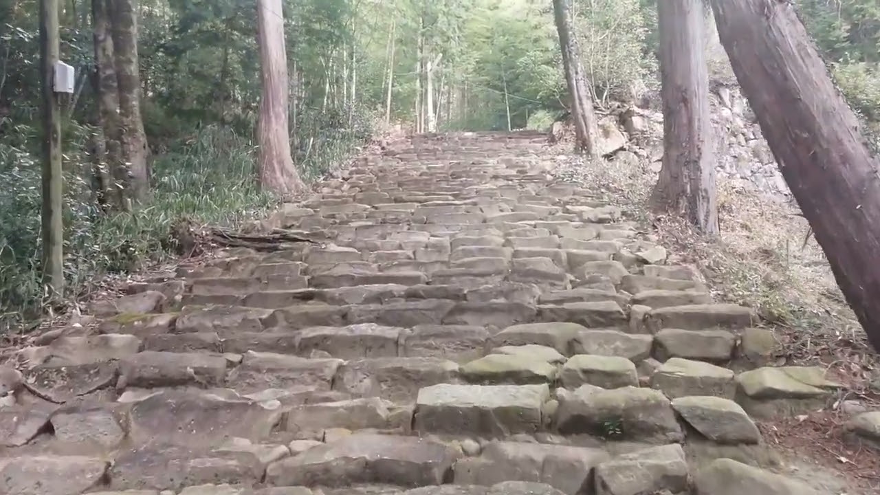 近江国 観音寺城 数百段の階段がとにかくキツい！（登山口→観音正寺ルート）