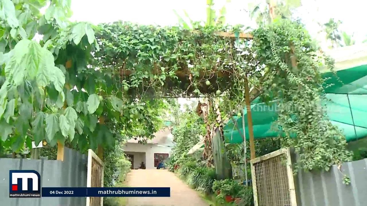 ഈ വീട്ട് വളപ്പിലുള്ളത് ആയിരത്തിലധികം പഴവര്‍ഗങ്ങള്‍ | Fruits | Krishibhoomi | Mathrubhumi News